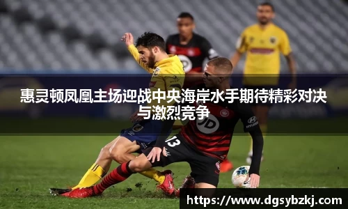 惠灵顿凤凰主场迎战中央海岸水手期待精彩对决与激烈竞争