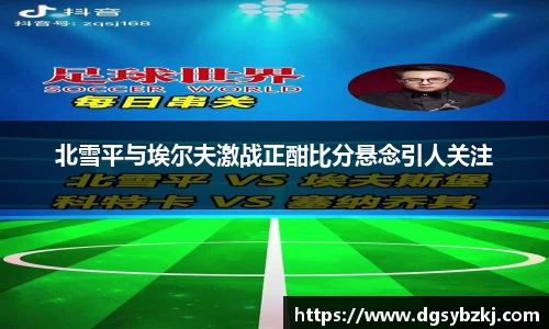 北雪平与埃尔夫激战正酣比分悬念引人关注