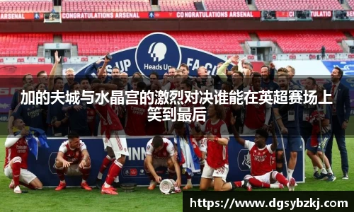 加的夫城与水晶宫的激烈对决谁能在英超赛场上笑到最后